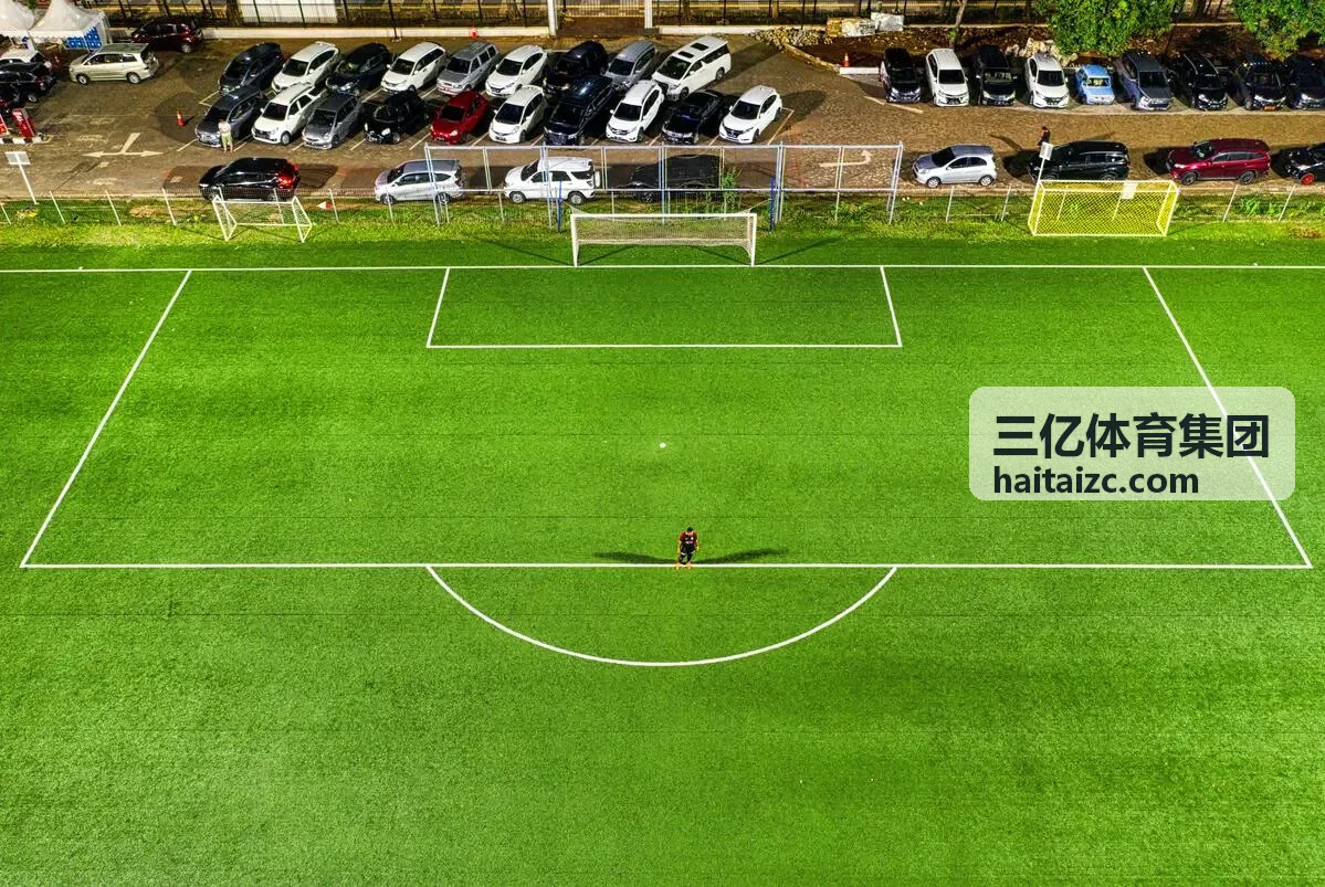 三亿体育集团投资能力